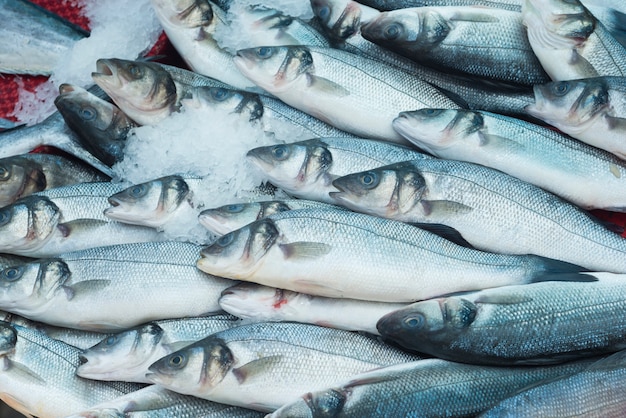 Divers poissons et fruits de mer frais au marché aux poissons