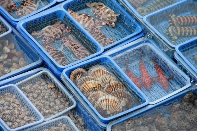 Divers types de fruits de mer frais à vendre sur un bateau dans le port de Sai Kung Hong Kong