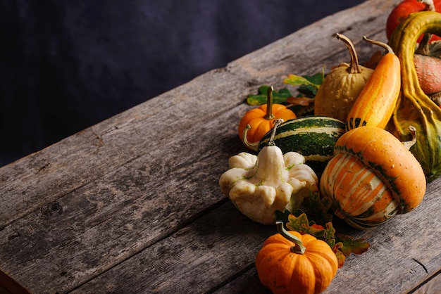 Diverses citrouilles décoratives et feuilles sèches