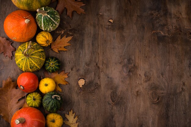 Diverses citrouilles décoratives. Récolte d'automne