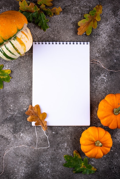 Diverses citrouilles décoratives récolte d'automne