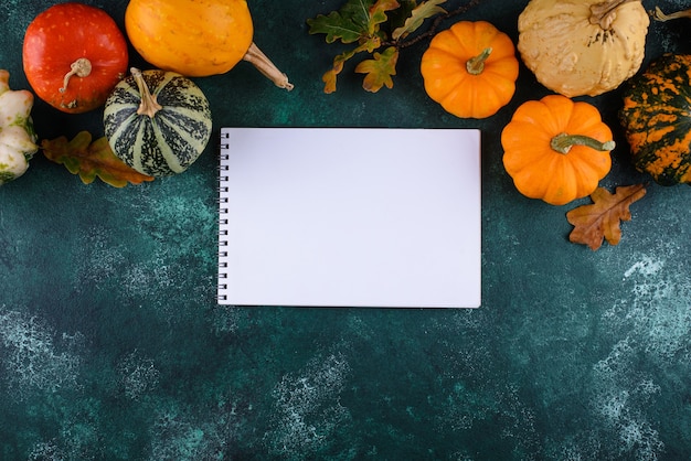 Diverses citrouilles décoratives récolte d'automne