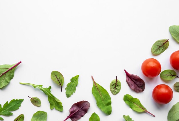 Photo diverses feuilles de salade sur fond blanc