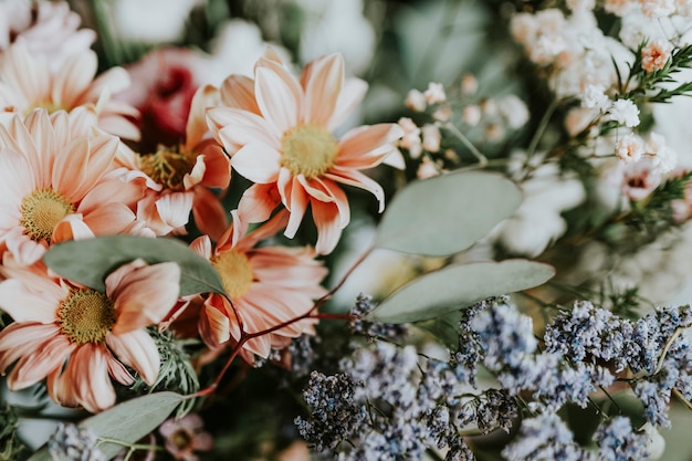 Diverses fleurs dans un magasin de fleurs