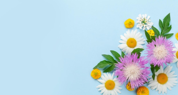 Diverses fleurs de jardin colorées sur fond bleu