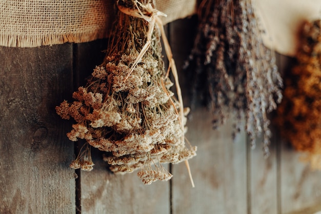 Diverses herbes pendent pour sécher sur un mur en bois