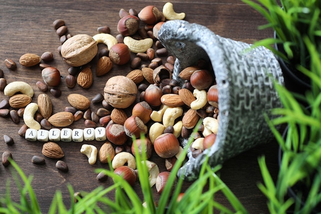 Diverses noix utiles et savoureuses sur une table en bois et des pots avec de l'herbe verte