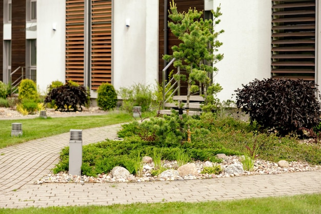 Diverses plantes et pierres devant la cour avant de la maison moderne Aménagement paysager Beau jardin Résidences urbaines modernes avec cours privées Installations extérieures vertes Pelouse Entretien du jardin