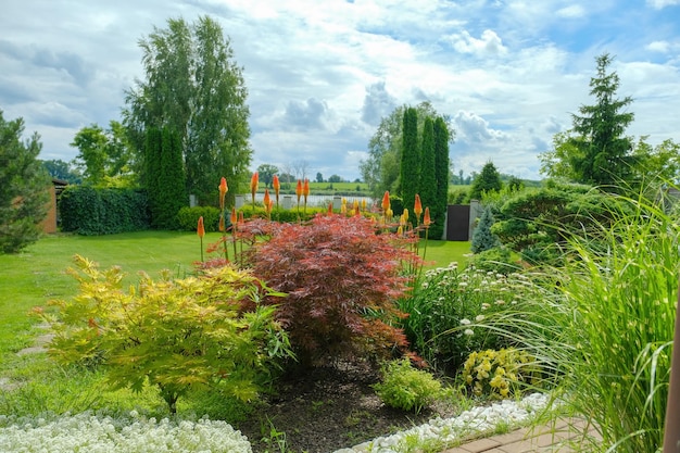 Photo diverses plantes qui poussent sur la pelouse à la campagne