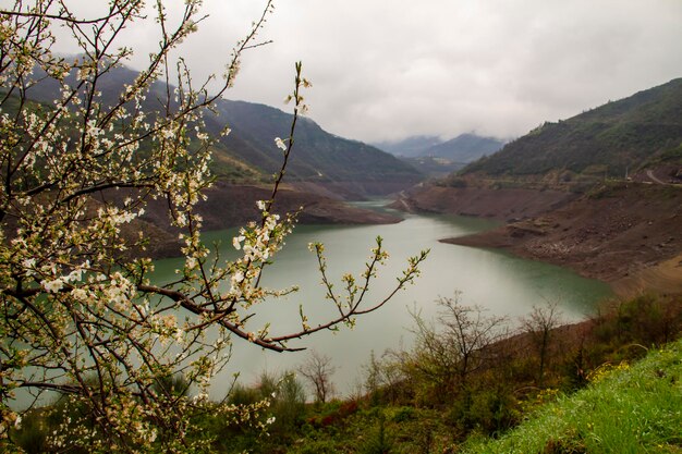 Photo diverses scènes de printemps autour du barrage de yuvac dans le district de basiskele