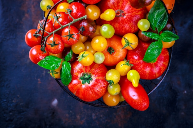 Diverses tomates fraîches dans un panier en fer. Alimentaire ou en bonne santé