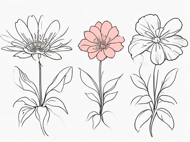 Diversité florale Décoration de diverses fleurs sur fond blanc