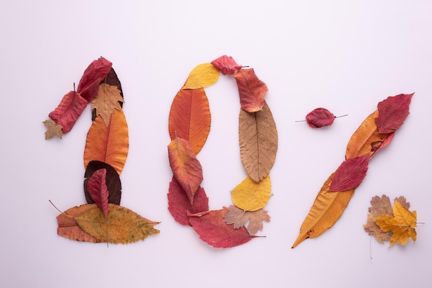 Dix pour cent des feuilles d'automne sur fond blanc