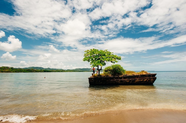Dock entouré d'eau avec arbre sur le dessus à Playa Negra Puerto Viejo de Talamanca Costa Rica