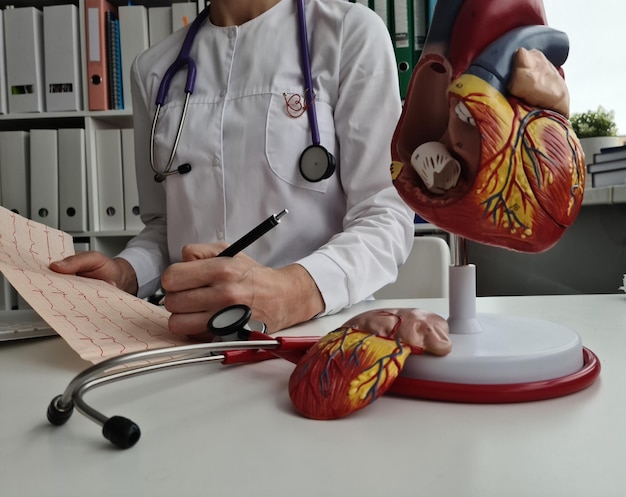 Le docteur cardiologue tient l'électrocardiogramme du coeur et du patient