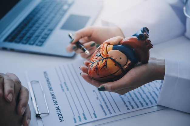 Docteur expliquant le cœur à un patient âgé Docteur explique le modèle cardiaque Docteurs pointent un stylo vers un modèle cardiaque