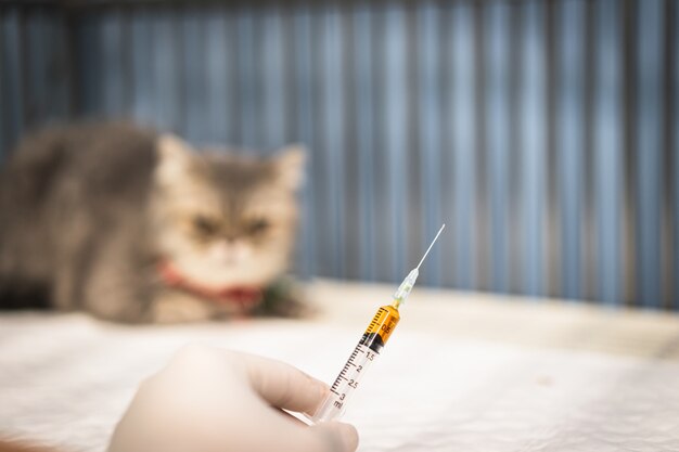 Docteur main tenant une seringue avec vaccin