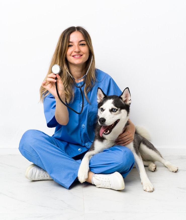 Photo docteur vétérinaire à la clinique vétérinaire avec chien husky sibérien