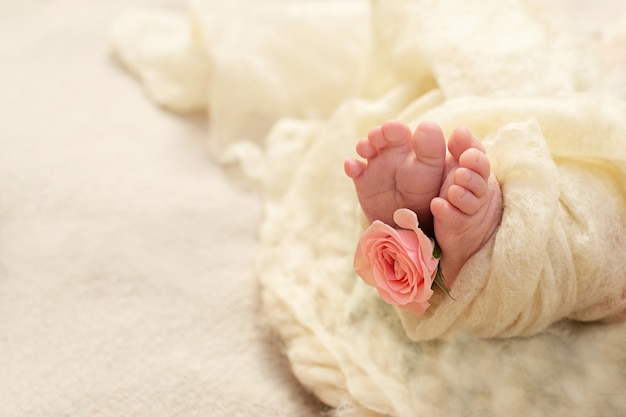 Doigts d'un petit enfant avec une rose rose