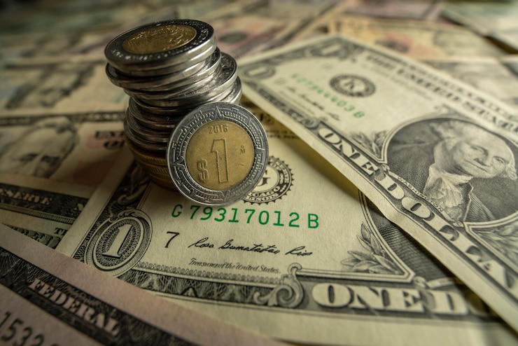 Photo dollar et peso