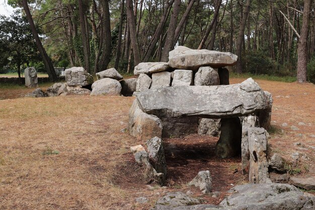 Photo dolmens mané kerioné également dolmen maison des nains - monument mégalithique carnac