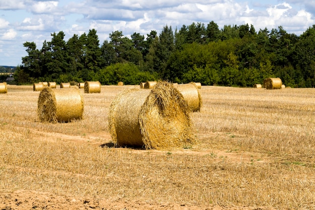 Domaine agricole