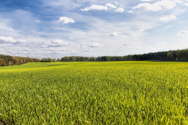 Un domaine agricole