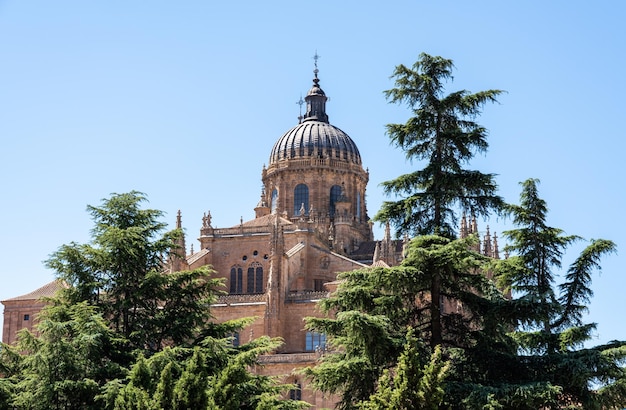 Dôme fleuri sur la nouvelle cathédrale de Salamanque