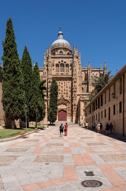 Dôme orné sur la nouvelle cathédrale de Salamanque