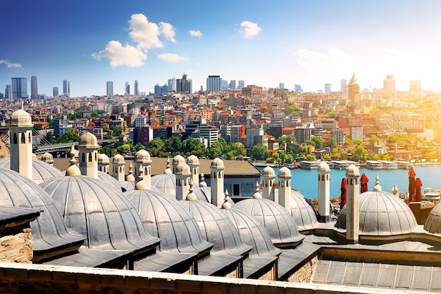 Dômes de la mosquée Suleymaniye et paysage urbain d'Istanbul, Turquie