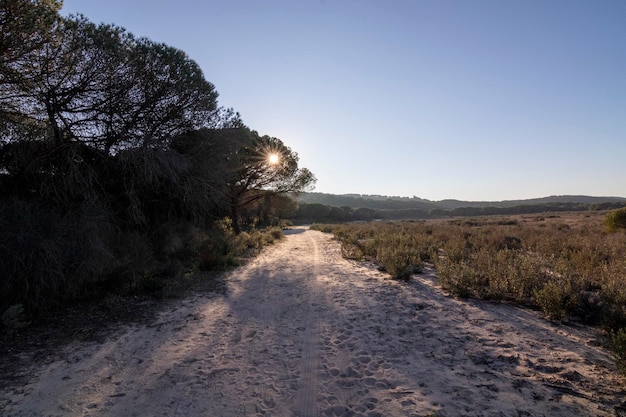 Doñana, est une zone naturelle protégée espagnole située dans les provinces de Huelva, Séville et Cadix.