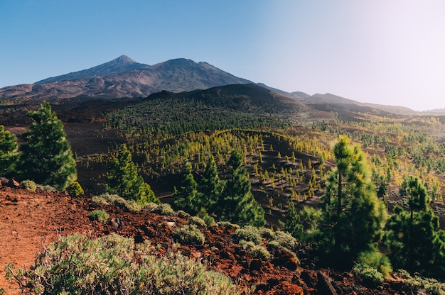 Photo donner sur le parc national el teide, tenerife