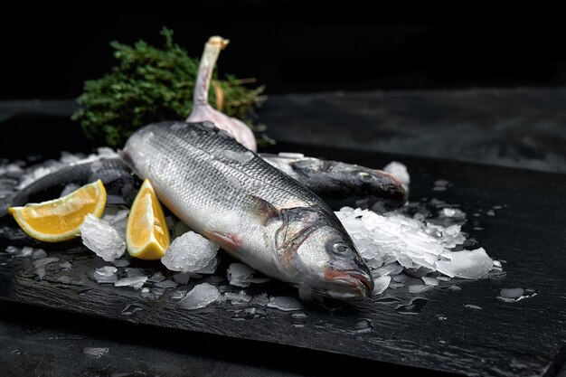 Dorado biologique frais cru ou dorade sur des glaçons sur une surface en ardoise noire, en pierre ou en béton