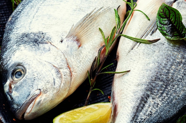 Dorado est un poisson sain et savoureux