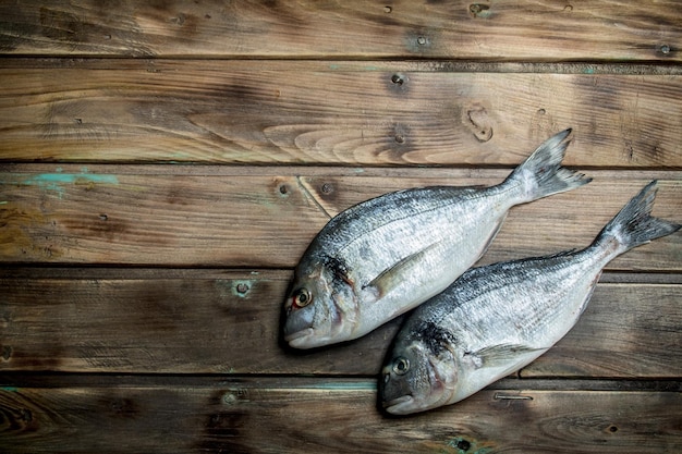 Dorado de poisson de mer cru