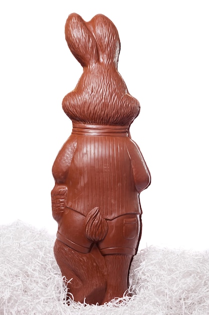 Photo dos d'un grand lapin en chocolat sur fond blanc