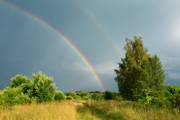 Double arc-en-ciel après la pluie sur un champ vert en été. Image horizontale.