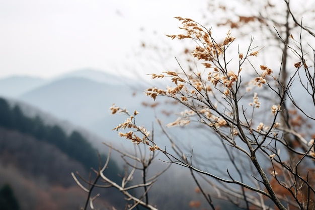 Douce brise de forêt de montagne en toile de fond de ciel enneigé balançant des plantes d'hiver et des branches sereines dans une scène naturelle tranquille