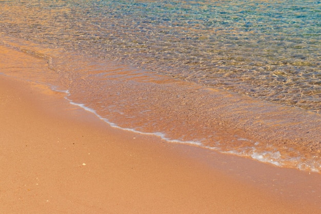 Douce vague de mer sur la plage de sable fin