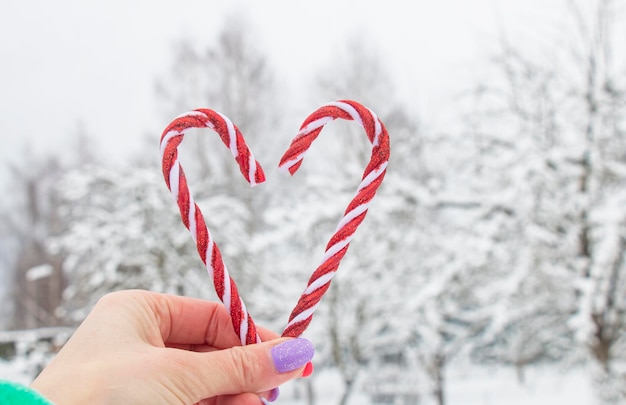 Douces cannes de caramel de Noël de couleur rouge dans la main de la jeune fille sur le fond d'un parc enneigé