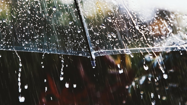 Des douches fraîches lors d'une journée de printemps rafraîchissante et des gouttes de pluie claires et propres qui rebondissent sur une ombre transparente