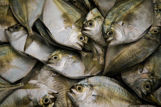 Douzaine de poissons de mer frais prêts à être cuisinés sur le marché du frais de Thaïlande