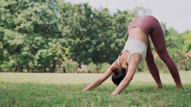 DownwardFacing Dog Asian young woman sitting on the grass practicing yoga