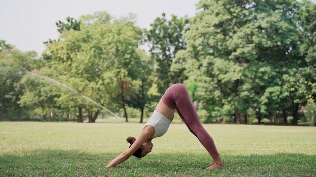 DownwardFacing Dog Asian young woman sitting on the grass practicing yoga