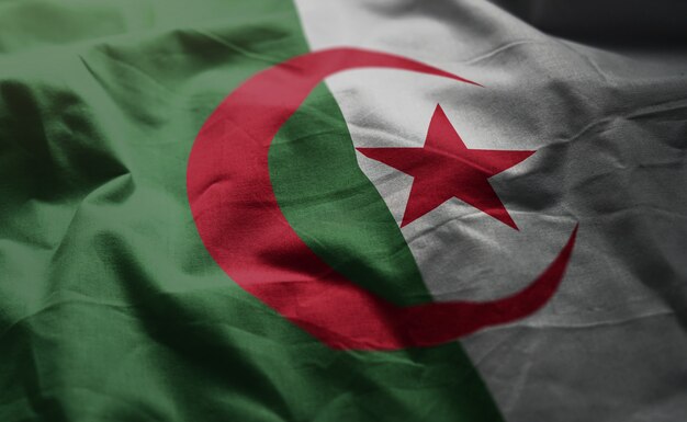 Photo drapeau algérien froissé de près