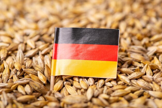 Drapeau de l'Allemagne sur le grain d'orge