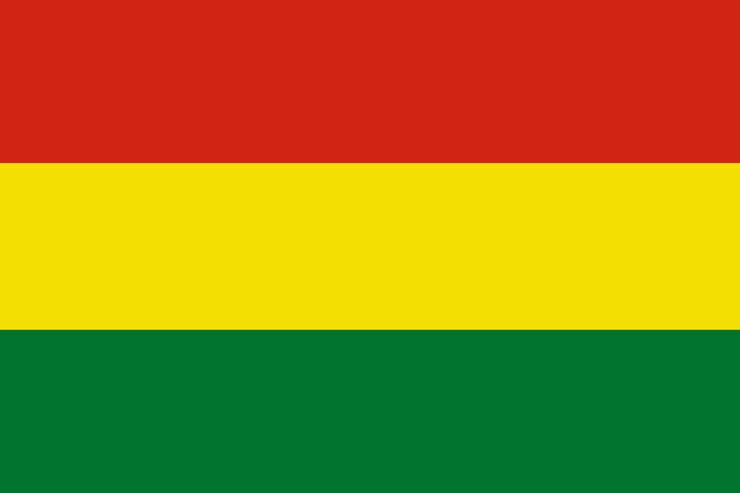 Photo drapeau de la bolivie