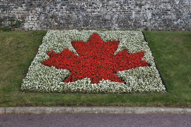 Photo drapeau canadien fait de fleurs à dieppe