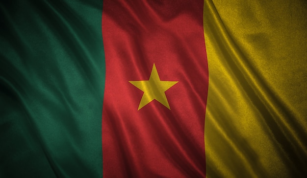 Drapeau du Cameroun fond