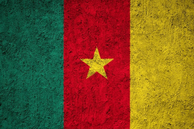 Drapeau du Cameroun peint sur le mur de grunge